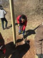 180316_Nate's Eagle project_42_sm.jpg